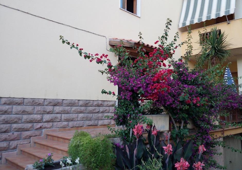 Al 32 Y 3 Acomodação com café da manhã Alghero Exterior foto