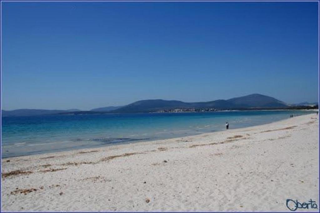 Al 32 Y 3 Acomodação com café da manhã Alghero Exterior foto